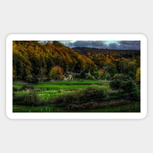 A Horse In A Northumberland Field Sticker